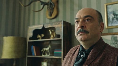 Kanunsuz Topraklar Bild 7