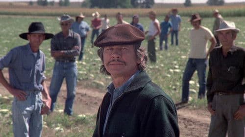 Das Gesetz bin ich Bild 7