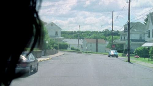 The Brown Bunny Bild 6