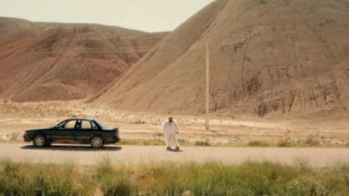 تاکسیدرمیست Bild 1