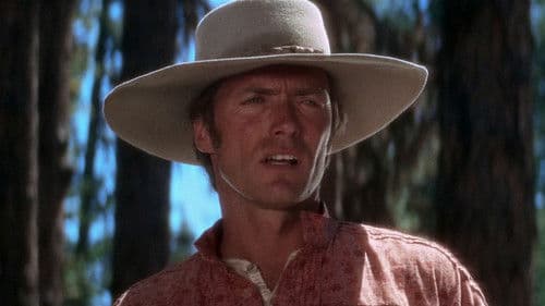 Westwärts zieht der Wind Bild 6