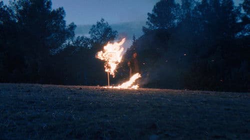 Balinanın Bilgisi Bild 2