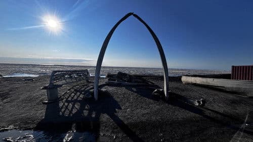 Η ύβρις της ανθρωπότητας Bild 6