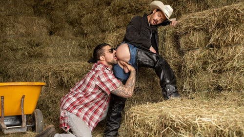 Saddle Uptown Bild 1