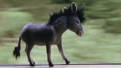 Sein und Haben Bild 5