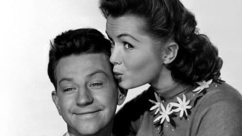 Fotograf aus Liebe Bild 3