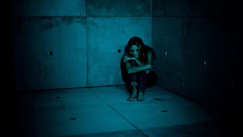 Y/N - Yes/No (You Lie, You Die) Bild 2