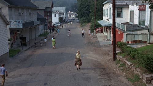 Die Liebe eines Sommers Bild 2