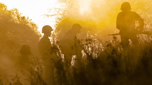 D-Day: Operation Neptune Bild 2