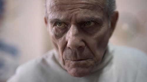 The Light Side Bild 2