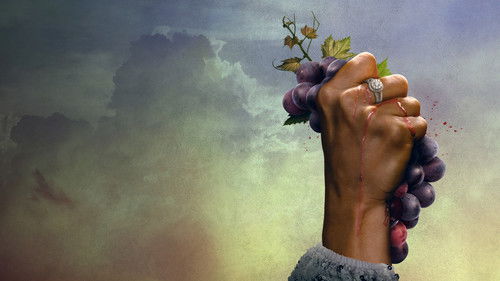 Gelobtes Land Bild 8