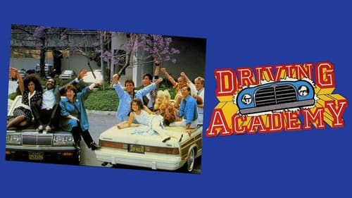 Driving Academy Bild 5