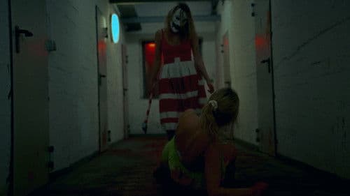 Not the Clowns Bild 1