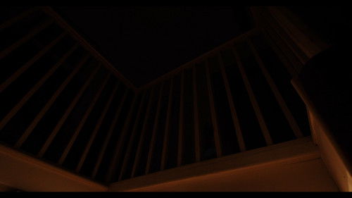 Please Don't Leave Me Bild 3