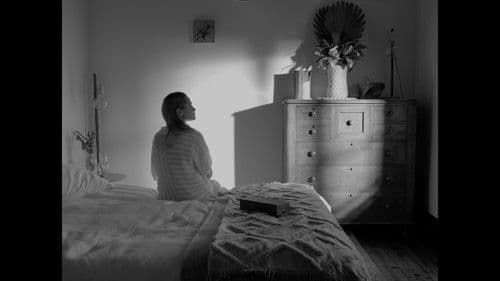 Vineyard Ablaze Bild 1