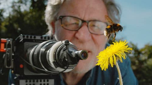 Mein Garten, reich an Bienen Bild 1