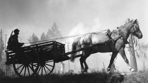 Tuntematon sotilas Bild 8