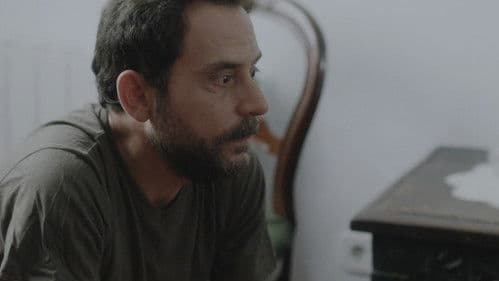 Les perseides Bild 3