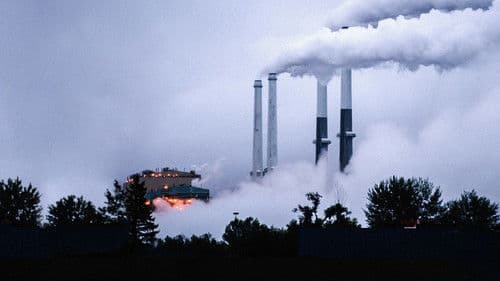 Weg aus der Asche Bild 2