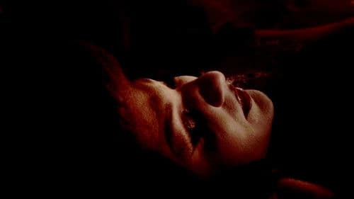 The Rabbit Hunters Bild 7