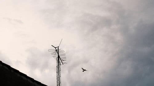 Hogar una jaula Bild 2