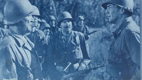 The Glory Brigade Bild 1