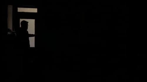 The House of Cats and Ghosts Bild 1