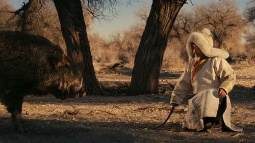 Königreich der Eroberer Bild 1