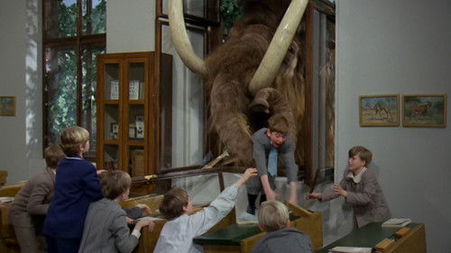 Hamster im Nachthemd Bild 1