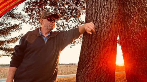 Wolf Awakened Bild 2