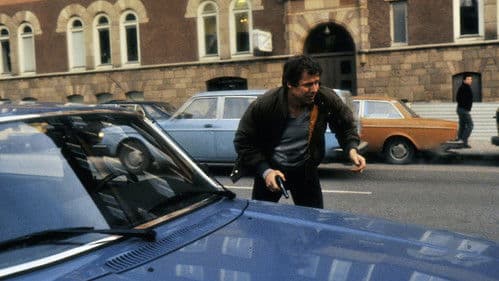 Der Mann aus Mallorca Bild 3