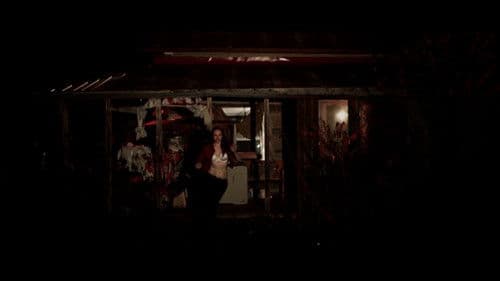 Horror and Hamsters Bild 2