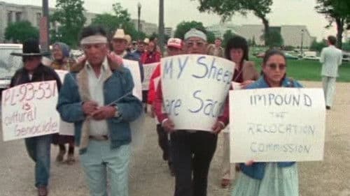 Broken Rainbow Bild 2