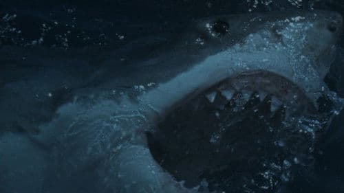 Shakka - Die Bestie aus der Tiefe Bild 6