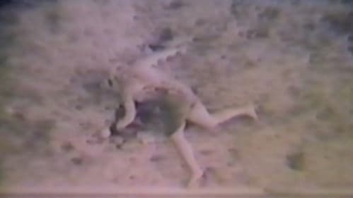 The Diane Linkletter Story Bild 1