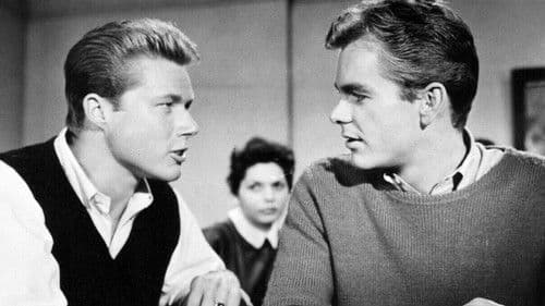 Handle with Care Bild 3