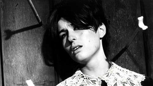 Gdzie jest trzeci król? Bild 5