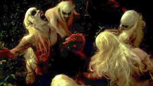 Shake, Rattle & Roll 13 Bild 1