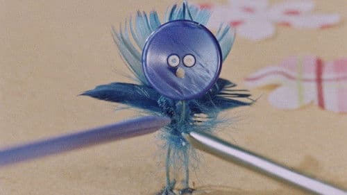 Der Märchenmantel Bild 1