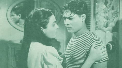 Abenteuer in Brasilien Bild 1