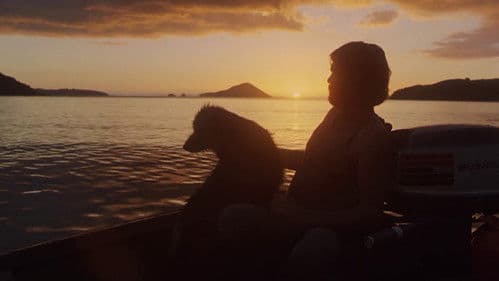 Schlafende Hunde Bild 4