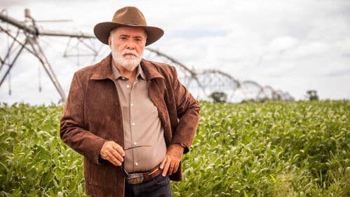 Terra e Paixão Bild 5