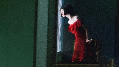 페르소나: 설리 Bild 1