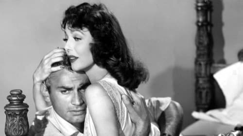 Aus Liebe zu Dir Bild 2