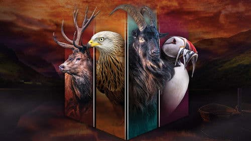 Wales: Land of the Wild Bild 2