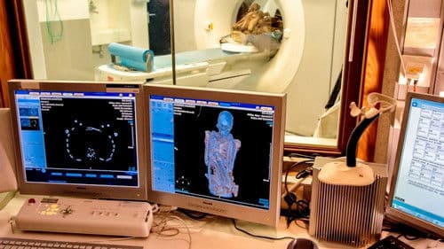 Tim und Struppi und der Fluch der Mumie Bild 5