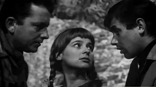 Zwariowana noc Bild 8