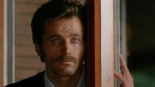 Ein schwarzer Tag für den Widder Bild 8