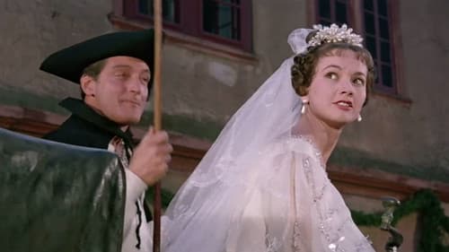 Das Wirtshaus im Spessart Bild 1