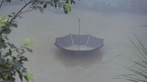 武蔵野心中 Bild 3